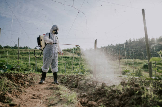 Best Best Pest Control Companies  in Sunriver, OR