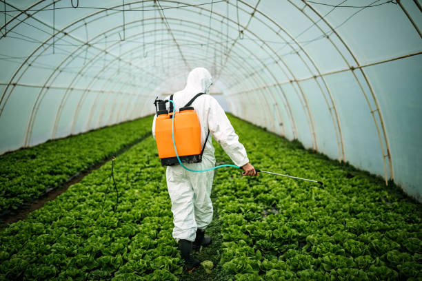 Best Best Pest Control Near Me  in Sunriver, OR