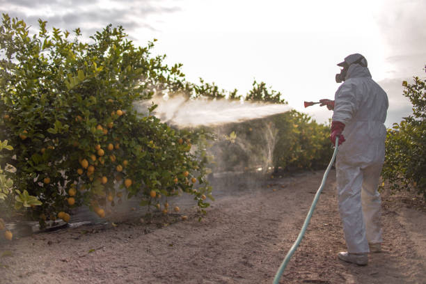Best Insect Control  in Sunriver, OR