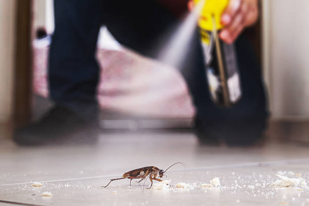 Best Pest Removal Services  in Sunriver, OR