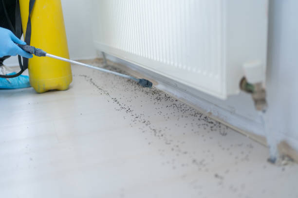 Best Affordable Pest Control Services  in Sunriver, OR