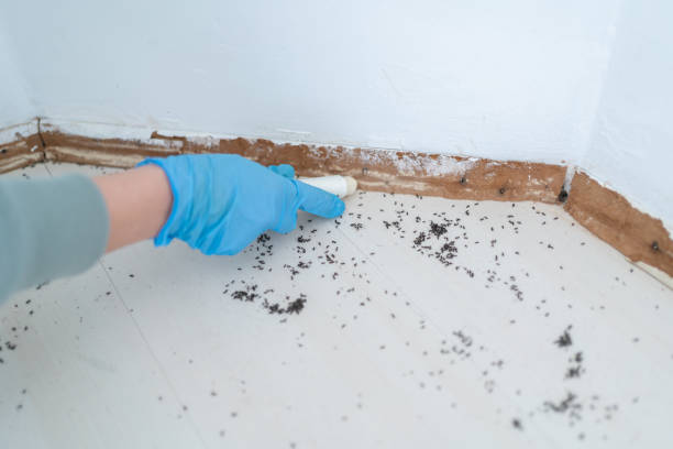 Best Best Pest Control Companies  in Sunriver, OR