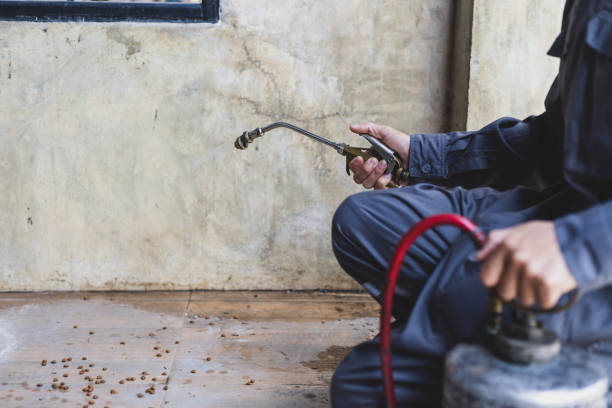 Best Termite Control Services  in Sunriver, OR