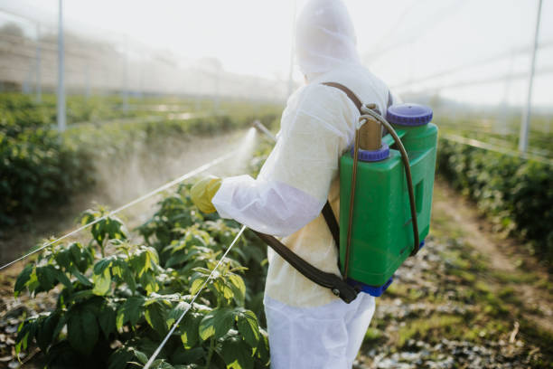 Best Flea Control Services  in Sunriver, OR